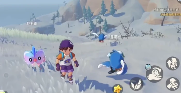 洛克王国世界冬羽雀多少级进化,洛克王国世界冬羽雀进化条件与形态解析