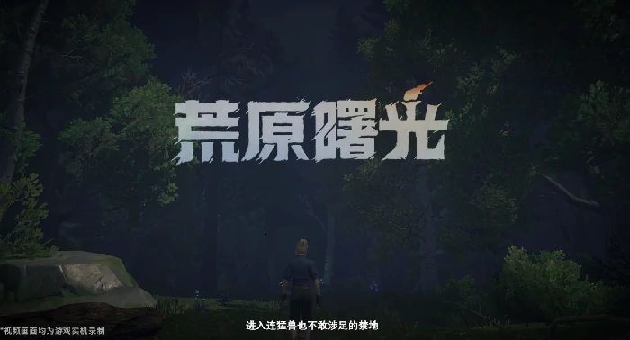 荒原曙光是单机游戏吗,荒原曙光游戏类型详细介绍