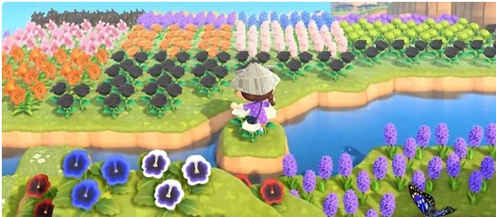 星布谷地主线任务全攻略,星布谷地主线完成技巧与流程详解