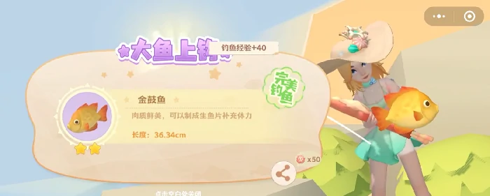 珍珠海大冒险钓鱼技巧全解析,珍珠海大冒险新手必看钓鱼攻略