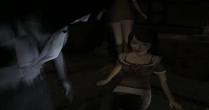 零红蝶重制版发售价格曝光,零红蝶重制版售价详情及购买指南