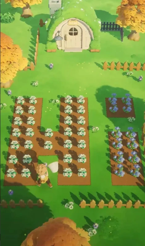 星布谷地零氪攻略,星布谷地新手快速上手指南