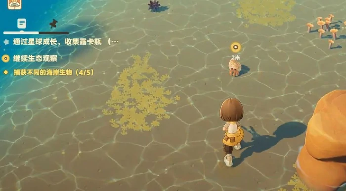 星布谷地是单机还是联机模式,星布谷地能否与好友一起联机游玩