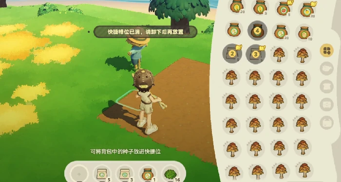 星布谷地种地流程详解,星布谷地高效种植技巧分享