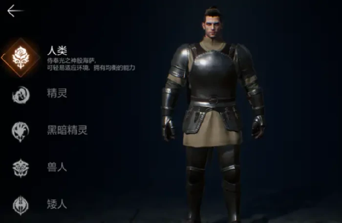 天堂2盟约双刀VS匕首强度对比,天堂2盟约职业武器选择全解析