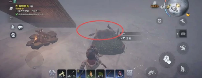 荒原曙光驯服动物全攻略,荒原曙光驯服动物方法与技巧详解