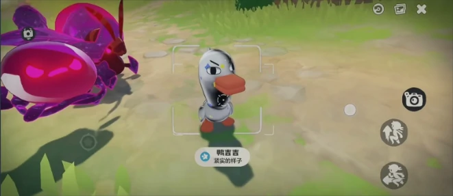 洛克王国世界鸭吉吉全形态图鉴,洛克王国世界鸭吉吉进化形态汇总