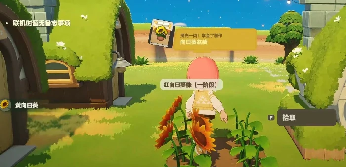 星布谷地星系全解析,星布谷地星系详细介绍与探索指南