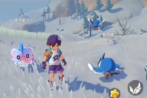 洛克王国世界冬羽雀多少级进化,洛克王国世界冬羽雀进化等级与培养攻略