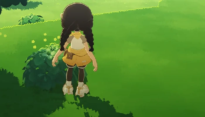 星布谷地测试多久测一次,星布谷地测试周期及时间安排解析