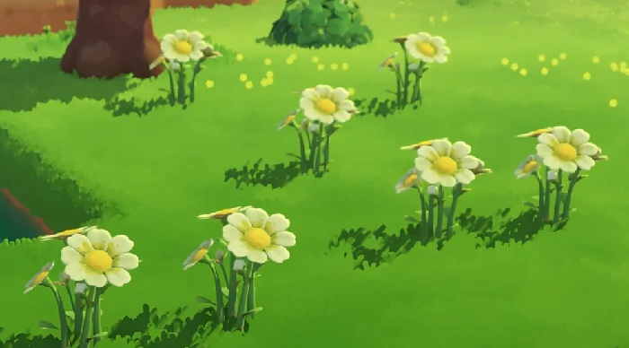 星布谷地开荒指南,星布谷地新手开荒全攻略