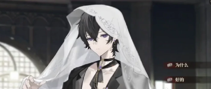 代号砰砰幽灵邀约剧情全解析,代号砰砰幽灵完整剧情故事分享