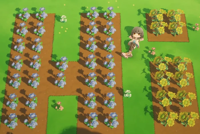 星布谷地联机种田方法揭秘星布谷地高效合作农耕技巧分享