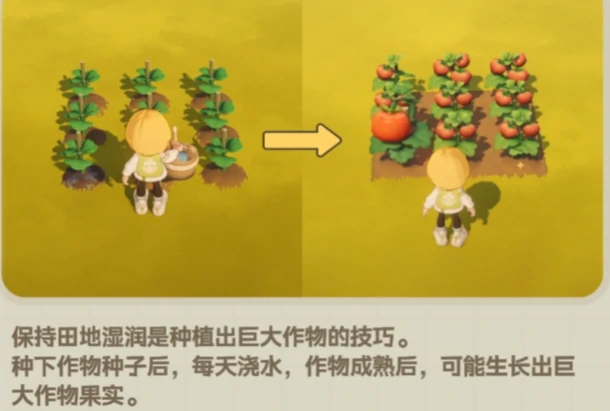 星布谷地烹饪技巧全解析星布谷地料理制作流程与高阶玩法指南