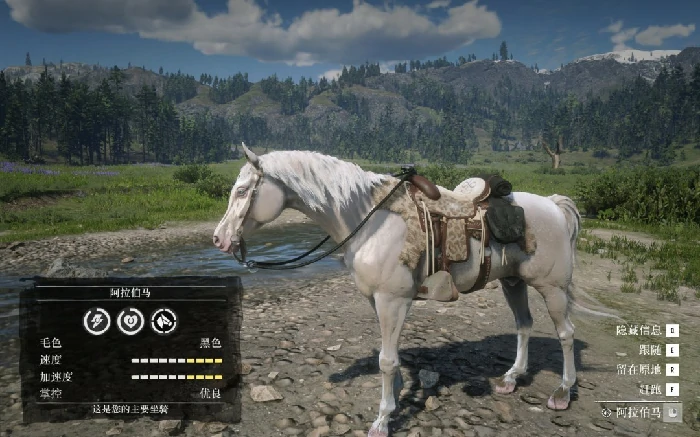 荒野大镖客：救赎最好坐骑推荐,荒野大镖客：救赎顶级马匹获取方式与培养指南