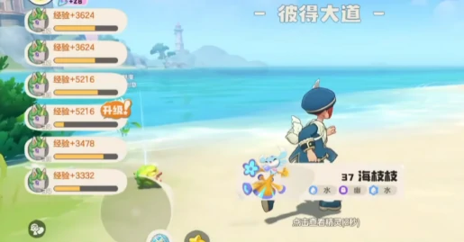 洛克王国世界快速升级攻略,洛克王国世界高效刷级方法与经验获取技巧