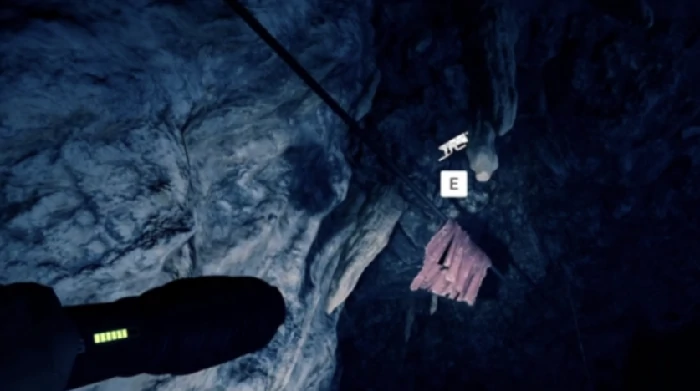 森林之子铲子作用详解,森林之子铲子获取方法与实用技巧