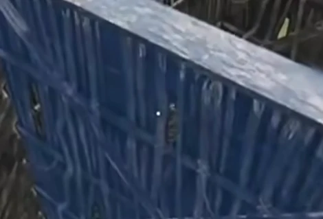 失控进化手游雪山地图详解,失控进化手游雪山区域探索指南