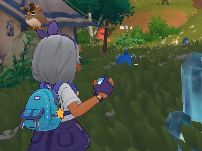 洛克王国宠物进化攻略,洛克王国全阶段进化条件与培养技巧详解