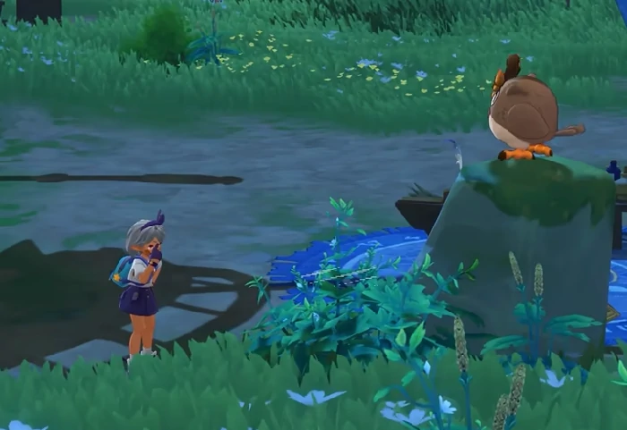 洛克王国宠物进化攻略,洛克王国全阶段进化条件与培养技巧详解