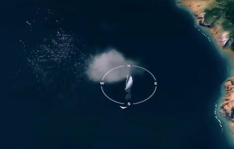 风帆纪元沉船位置大全,风帆纪元全地图沉船坐标与打捞攻略