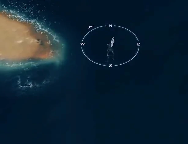 风帆纪元金鹿号强度解析,风帆纪元高性价比主力战舰全面评测