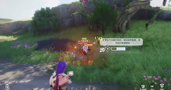 伊莫背袭怎么玩,伊莫背袭捕捉技巧与实战攻略