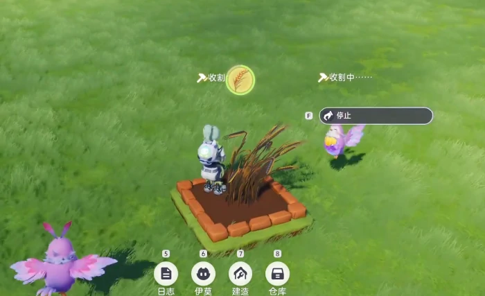 伊莫种菜怎么玩,伊莫种菜新手入门与核心玩法详解