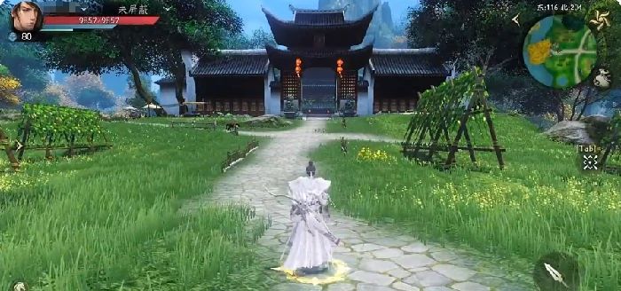 天下万象副本攻略,天下万象高效率通关技巧与阵容搭配指南