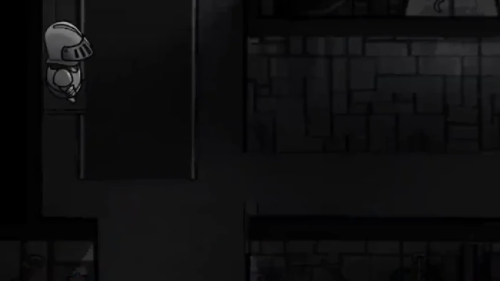 鹅鸭杀隐形者玩法详解,鹅鸭杀隐形者角色技能、进阶技巧与实战策略