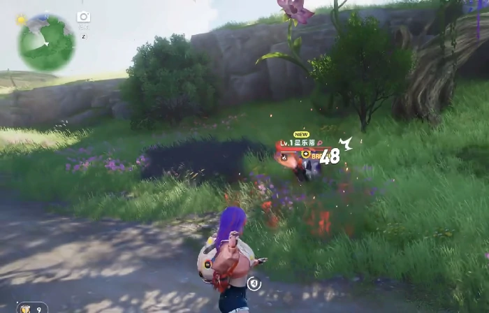 伊莫背袭怎么玩,伊莫背袭捕捉技巧与实战攻略