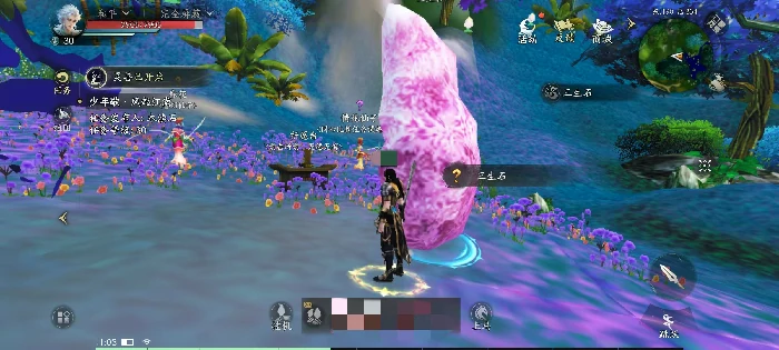 天下万象结婚系统详解,天下万象情侣结缘与婚礼流程指南