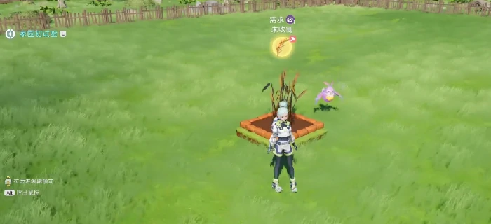 伊莫种菜怎么玩,伊莫种菜新手入门与核心玩法详解