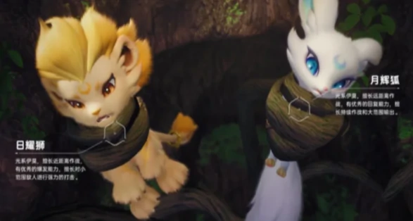 伊莫宠物二选一攻略,伊莫宠物选择指南与实用对比分析