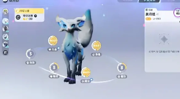 伊莫宠物二选一攻略,伊莫宠物选择指南与实用对比分析