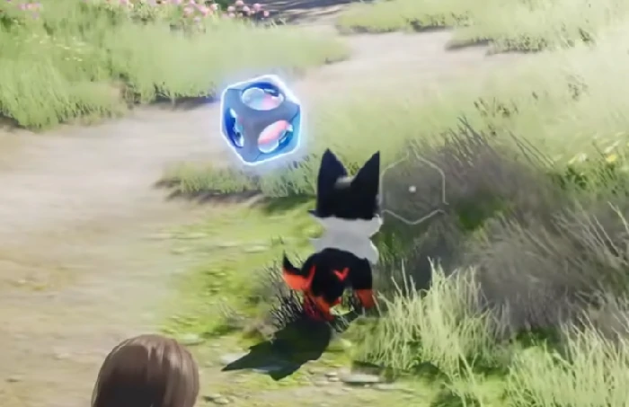 伊莫二测时间公布,伊莫公测日期及测试安排详情