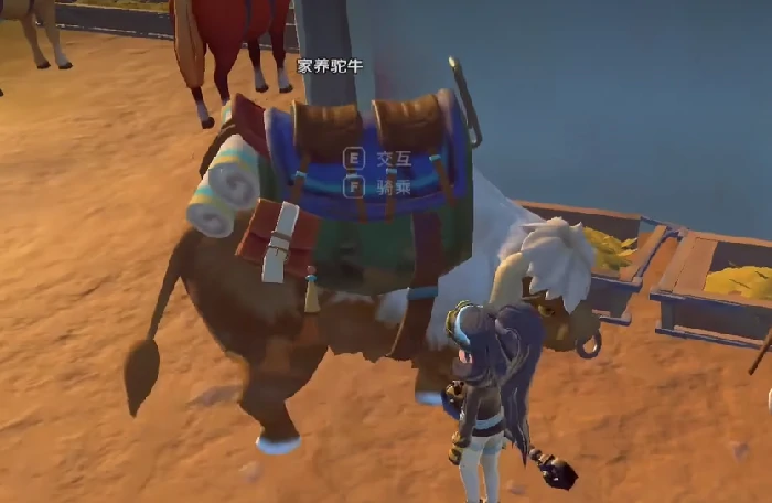 沙石镇时光坐骑推荐,沙石镇时光高性价比与稀有坐骑全面解析