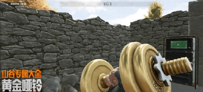 暗区突围S16赛季地图,山谷新秩序全解析：新增区域、资源点与战术要点,暗区突围