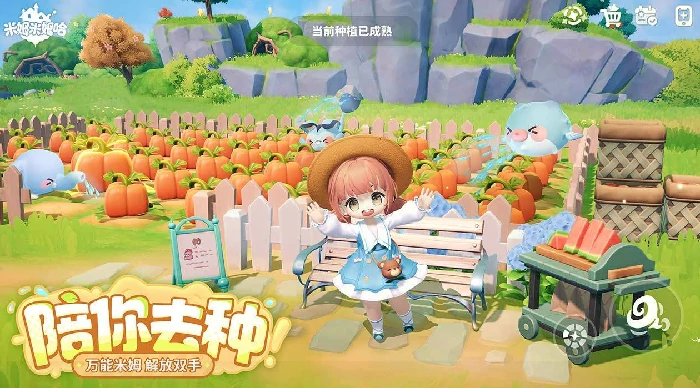 米姆米姆哈上线时间揭晓,米姆米姆哈具体开服日期与预约入口