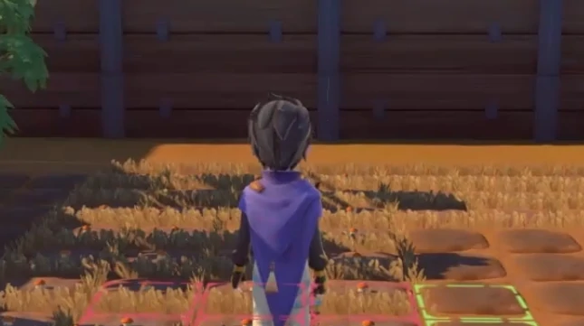 沙石镇时光番茄浓汤制作教程,沙石镇时光番茄浓汤详细步骤与家常做法