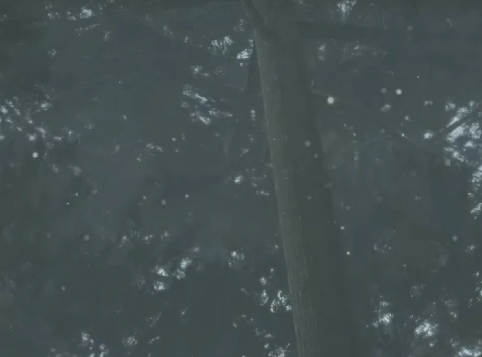 古墓丽影9手游上线时间,古墓丽影9手游何时发布及公测详情