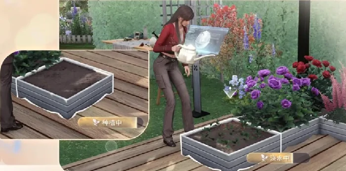 恋与深空家园玩法详解,恋与深空家园系统入门与互动指南,恋与深空