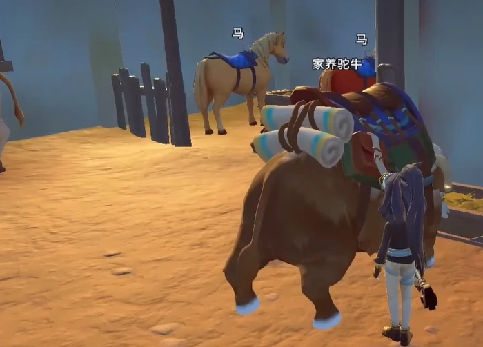 沙石镇时光坐骑推荐,沙石镇时光高性价比与稀有坐骑全面解析