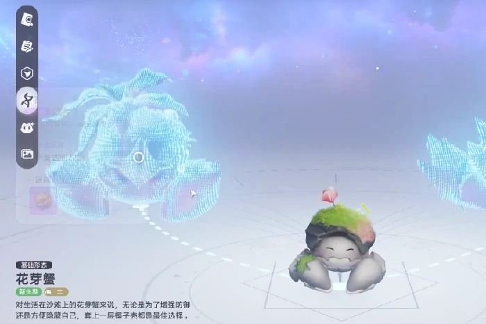 伊莫花芽蟹形态详解,伊莫花芽蟹各形态特征与区别