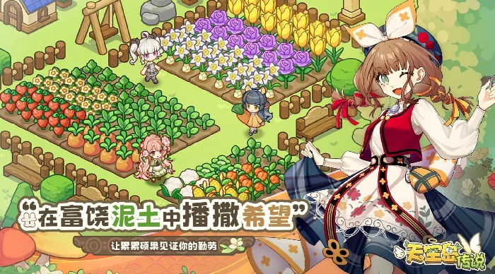 天空岛传说是什么游戏天空岛传说核心玩法与特色系统详解