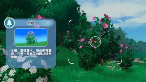 神奇植物园手游拍照玩法指南,神奇植物园手游拍照技巧与高分构图方法