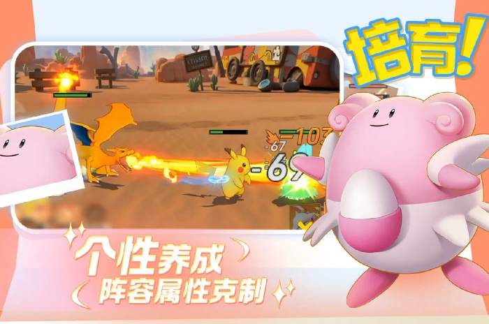 宠物集结,神奇宝贝兑换码汇总与使用指南