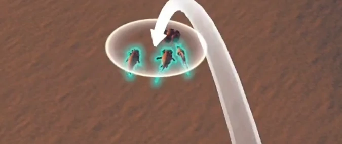 沙石镇时光沙捕攻略,沙石镇时光沙捕全流程操作与技巧详解