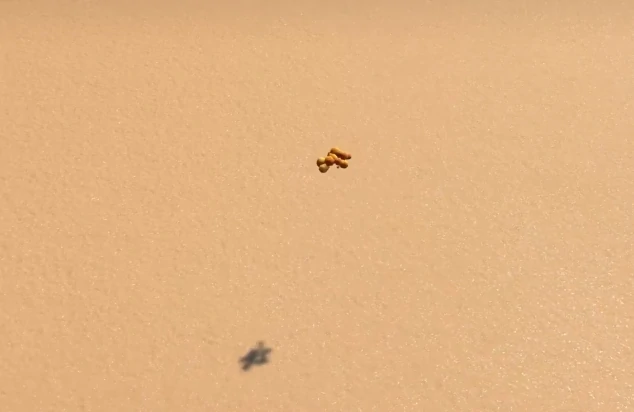 沙石镇时光大涂鱼钓鱼位置指南,沙石镇时光大涂鱼最佳钓点与时间推荐