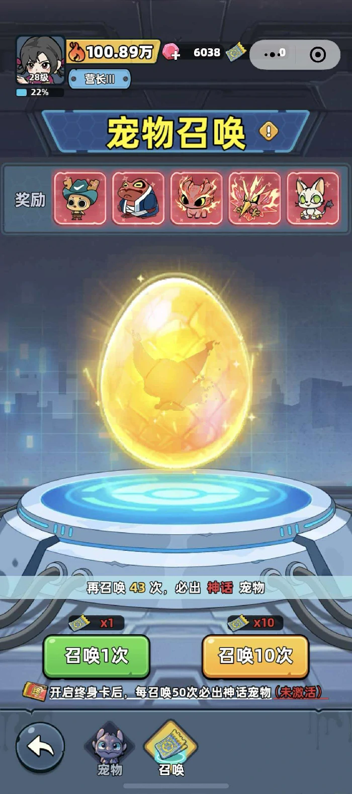 生存33天宠物推荐,生存33天高性价比实用宠物选择指南